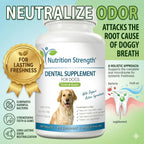 Nutrition Strength Cuidado Dental para Perros - Eliminador Natural de Placa y Sarro con Algas Orgánicas, Hojas de Fresa y Semillas de Calabaza - 120 Comprimidos