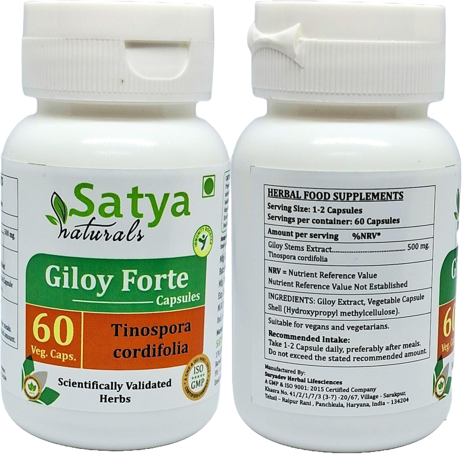Giloy Forte 500 mg - 60 Cápsulas Veganas - Extracto de Guduchi (Tinospora Cordifolia) - Suplemento Ayurvédico