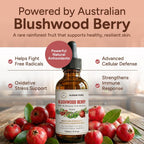 Blushwood Berry EBC-46 Tintura – Apoyo Inmunológico y Celular – Antioxidante Natural – Fórmula Vegana Sin Alcohol – 120 ml