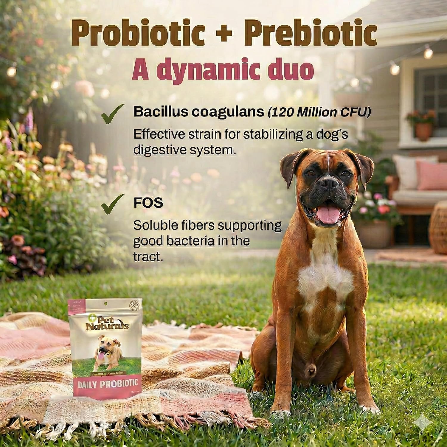 Pet Naturals Daily Probiotic Soft Chews for Dogs, Digestive and Immune Support, 120 Million CFUs per Chew, Duck Flavor, 60 Count