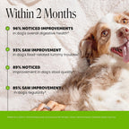 Probióticos para Perros con Prebióticos y Enzimas Digestivas - 6 Mil Millones de UFC - Sabor Pato - 90 Comprimidos Masticables - Pet Honesty