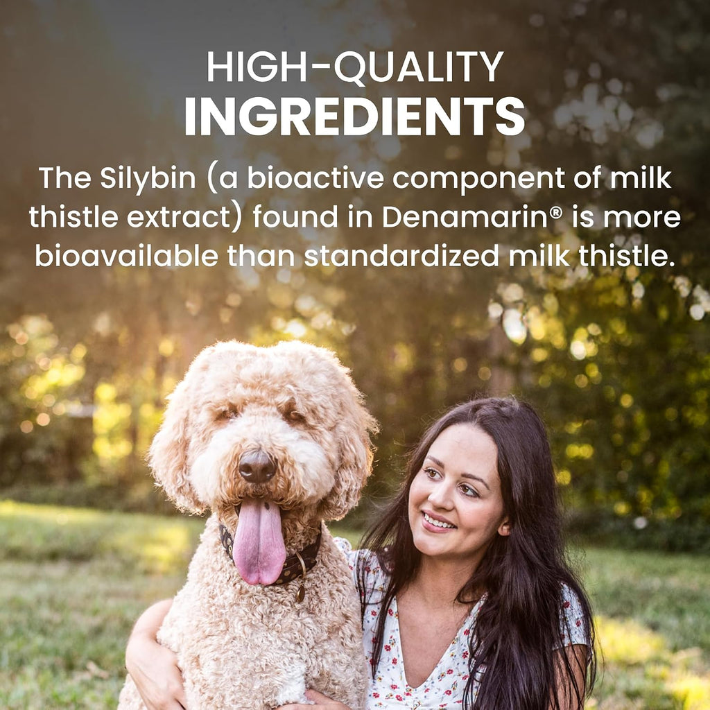 Nutramax Denamarin para Perros Grandes - Suplemento Hepático con SAMe y Silibina, 30 Comprimidos Recubiertos