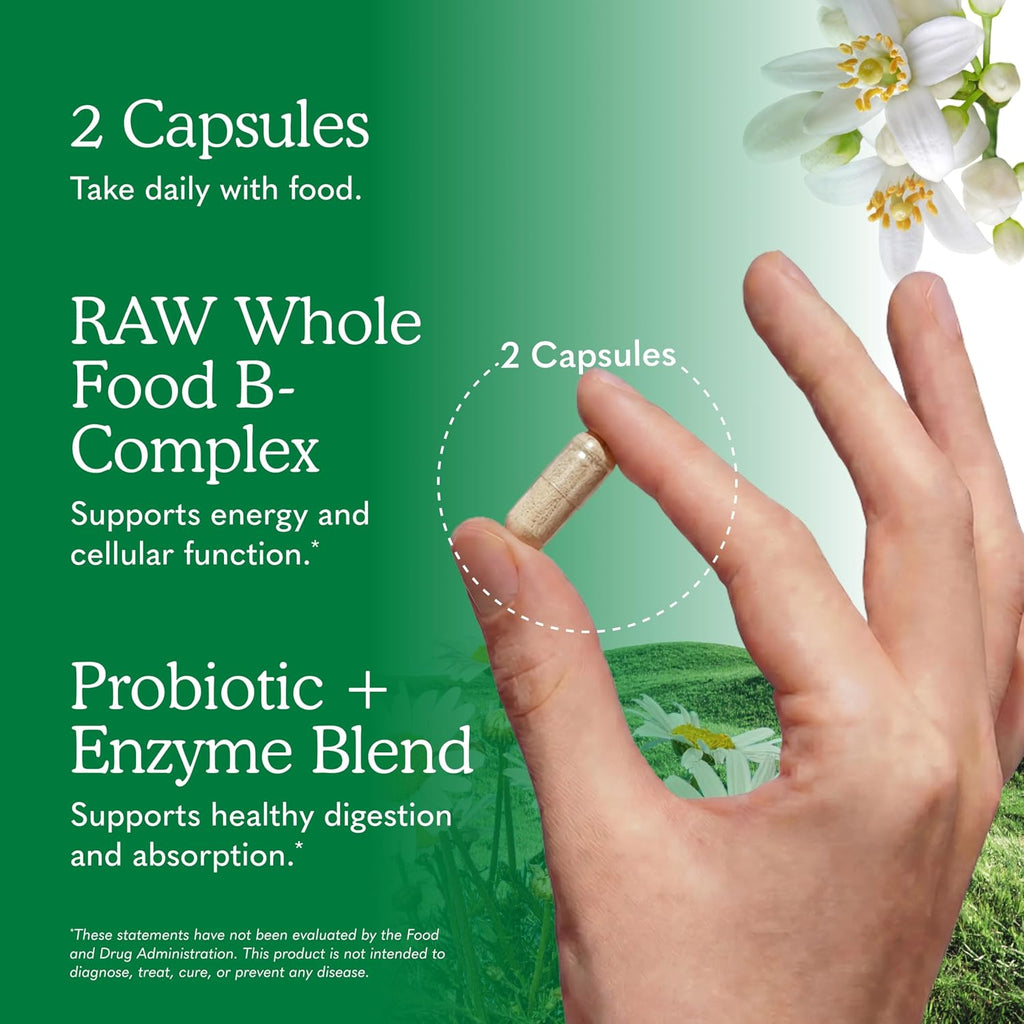 Garden of Life Complejo B, 120 Cápsulas Veganas, Alta Potencia para Energía y Metabolismo con B6, Folato y B12 como Metilcobalamina más Probióticos