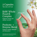 Garden of Life Complejo B, 120 Cápsulas Veganas, Alta Potencia para Energía y Metabolismo con B6, Folato y B12 como Metilcobalamina más Probióticos