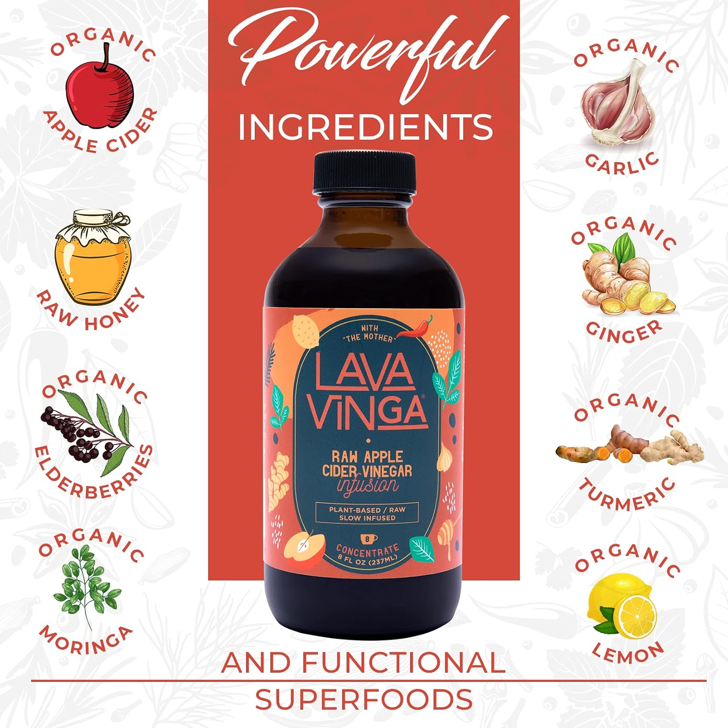 VINGA Lava - Fire Cider de Vinagre de Manzana Crudo con Moringa Oleifera, 240 ml