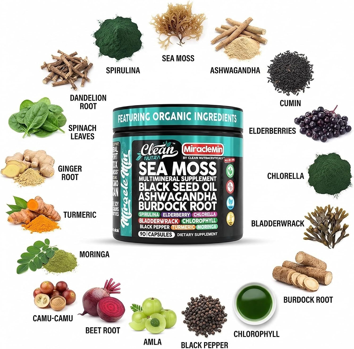 Clean Nutra Cápsulas Orgánicas de Musgo Marino con Ashwagandha, Aceite de Semilla Negra, Raíz de Bardana, Musgo de Vejiga, Moringa, Chlorella, Espirulina, Cúrcuma, Saúco, Amla – 90 Cápsulas Veganas – MiracleMin