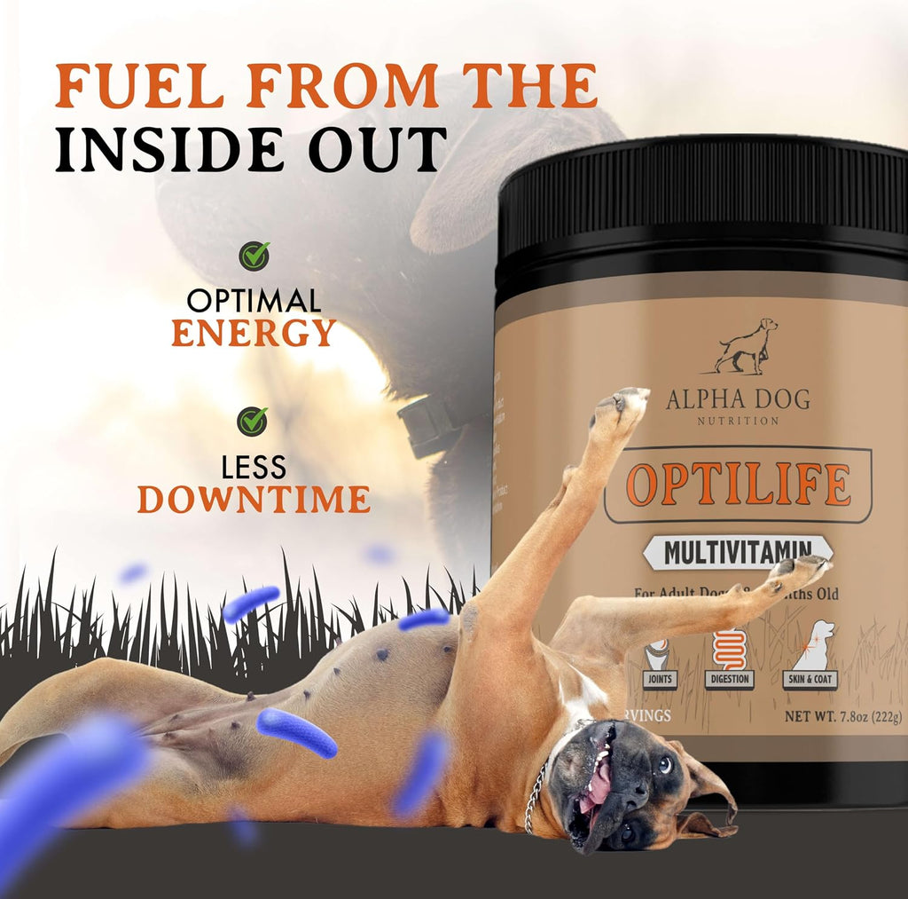 OptiLife Multivitamínico en Polvo para Perros - con Probióticos, Glucosamina, para Apoyo Articular y Digestivo (60 dosis)