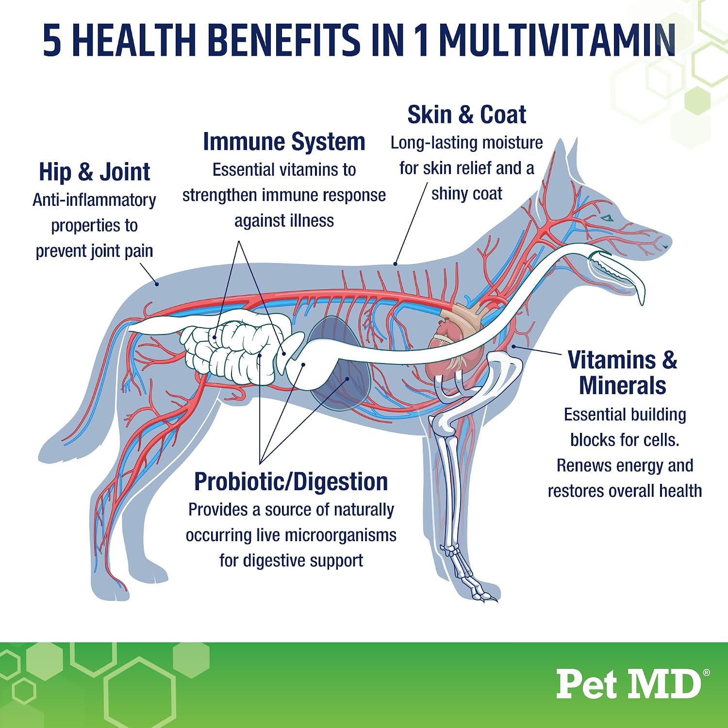 Pet MD Multivitamínico 5en1 para Perros - 30 Vitaminas, Minerales y Nutrientes Esenciales - 60 Comprimidos