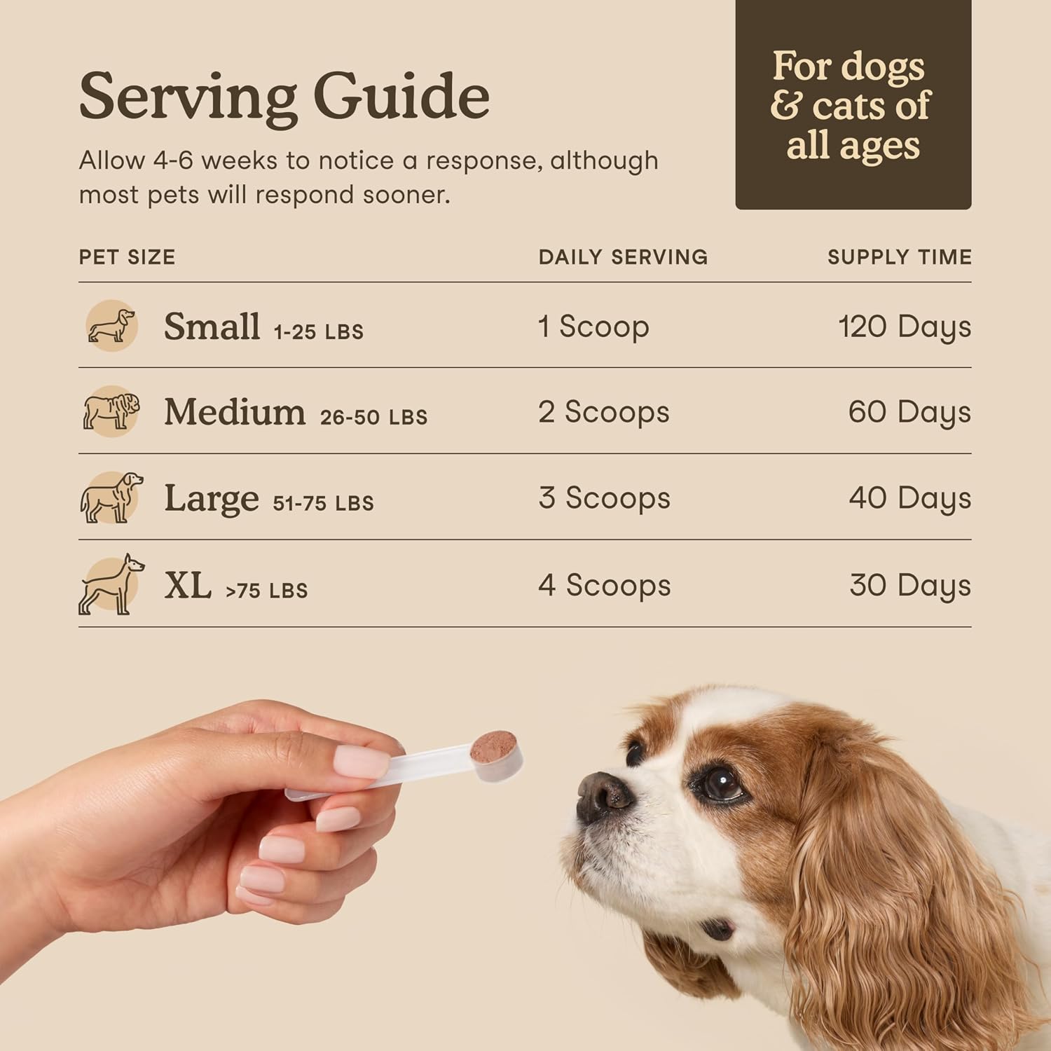 Fera Pets Mushroom Supplement para Perros y Gatos con Turkey Tail - Polvo Orgánico USDA - 120 Dosis