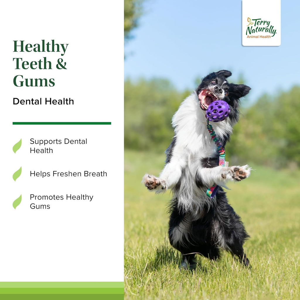 EuroPharma (Terry Naturally) Healthy Teeth & Gums 60 Comprimidos Masticables