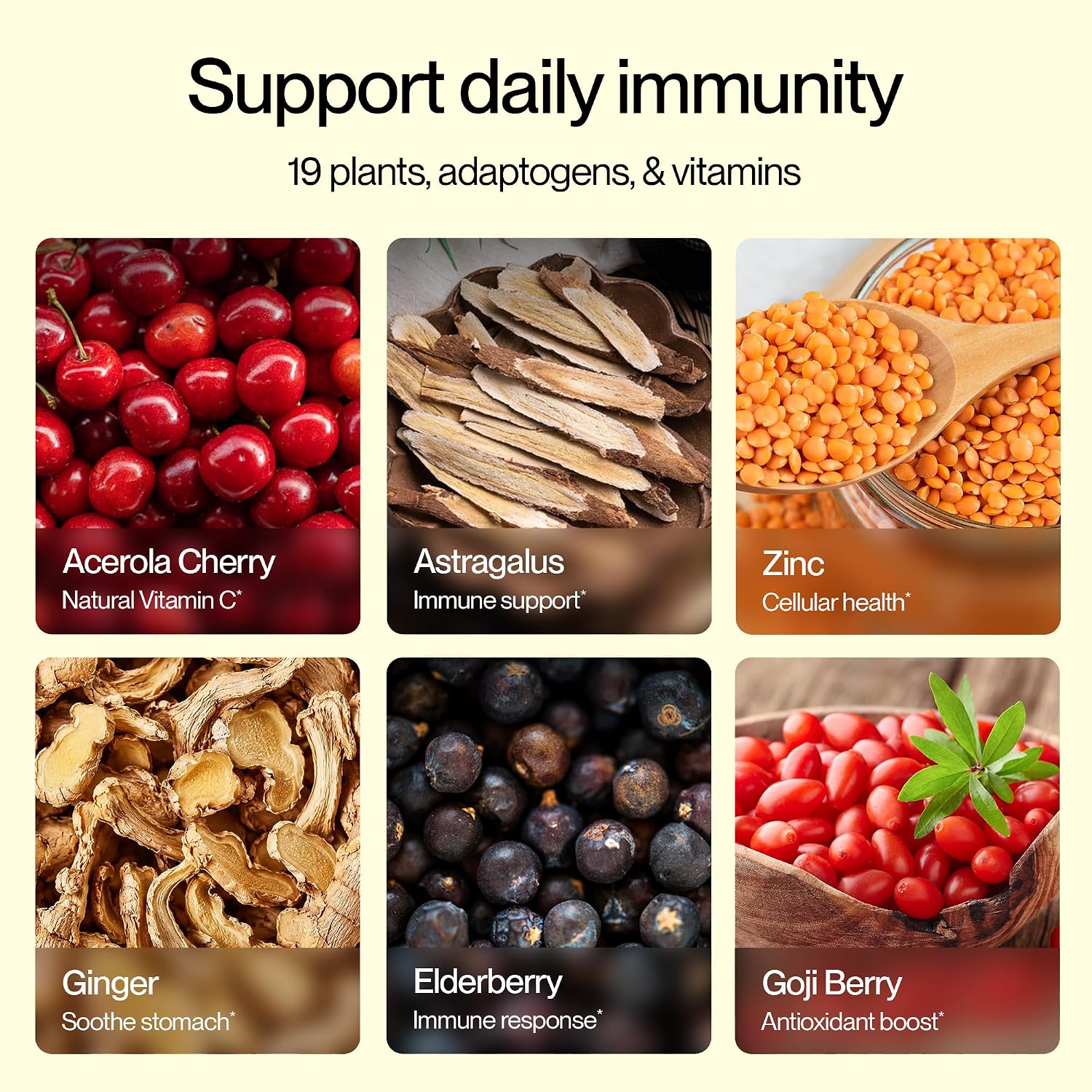 Feel Goods Immunity+ - Mezcla de apoyo inmunológico con vitamina C, hierbas orgánicas y adaptógenos - 15 sobres sabor Limonada de Melocotón