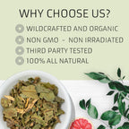 Evergreen Herbs Níspero 8 Oz - Eriobotrya Japonica (Níspero)