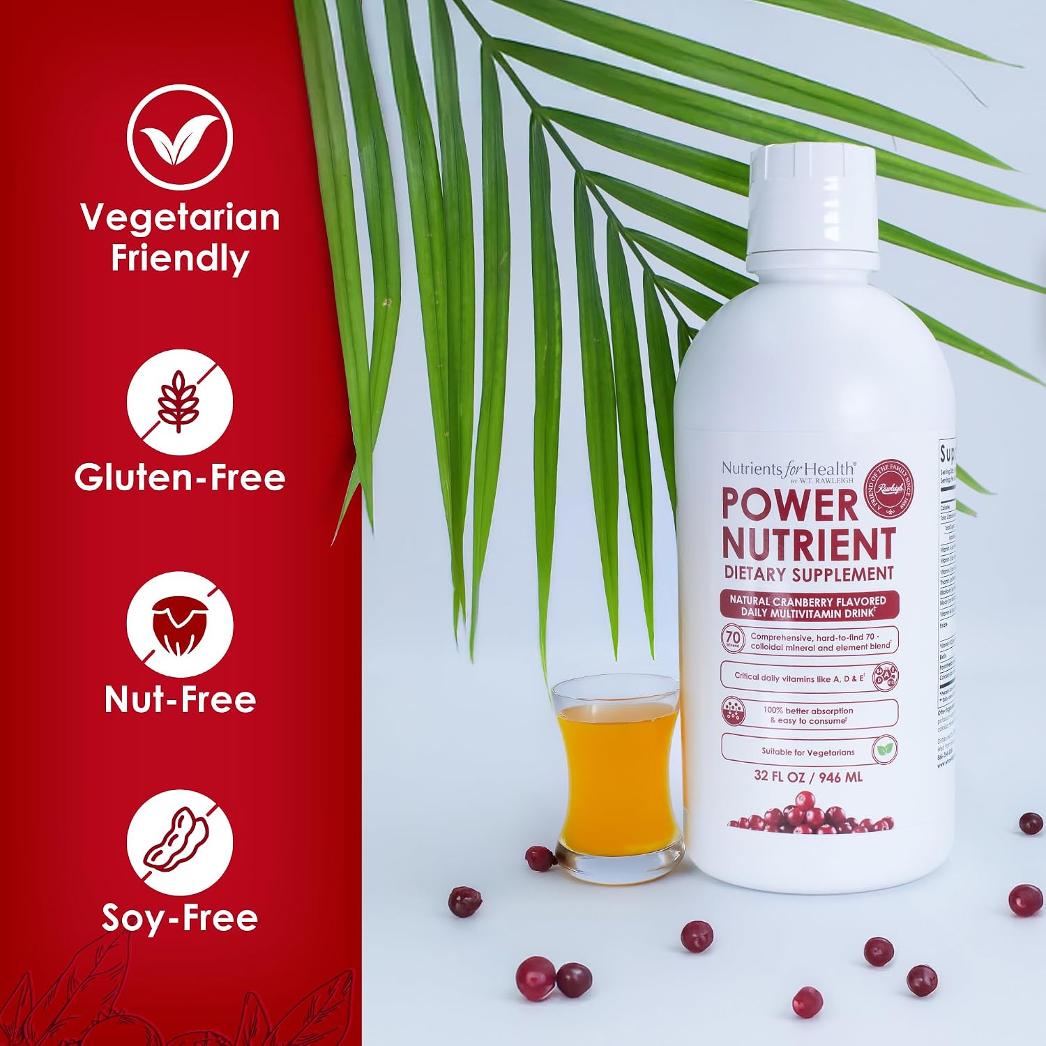 Rawleigh Power Nutrient Multivitamínico Líquido (946 ml) - Sabor Arándano