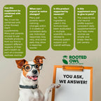 Rooted Owl® Suplemento de Hongos para Perros y Gatos - Apoyo Inmunológico - 60 Cápsulas