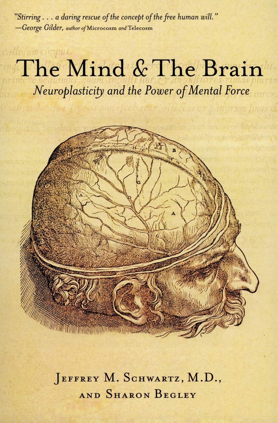 La mente y el cerebro: Neuroplasticidad y el poder de la fuerza mental