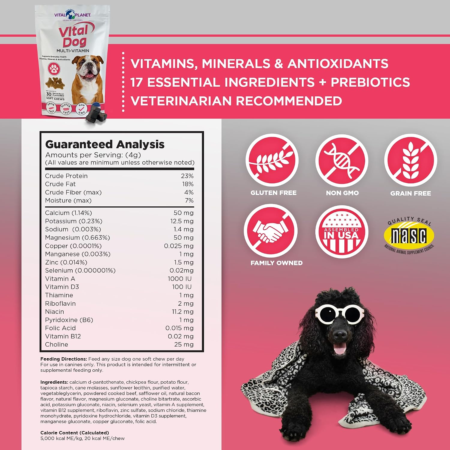 Vital Planet - Vital Dog Multivitamínico para la Salud Diaria con Vitaminas, Minerales y Antioxidantes - 30 Golosinas Blandas Sabor a Bacon