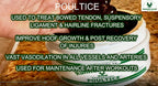 RUNNER'S RELIEF Therapeutic Poultice Tightener | Treatment for Bowed Tendon Injury | Natural Soothing Clay Medication for All Horse Breeds | Use on Tendons, Ankles, Hooves, Ligaments | 1.75 oz