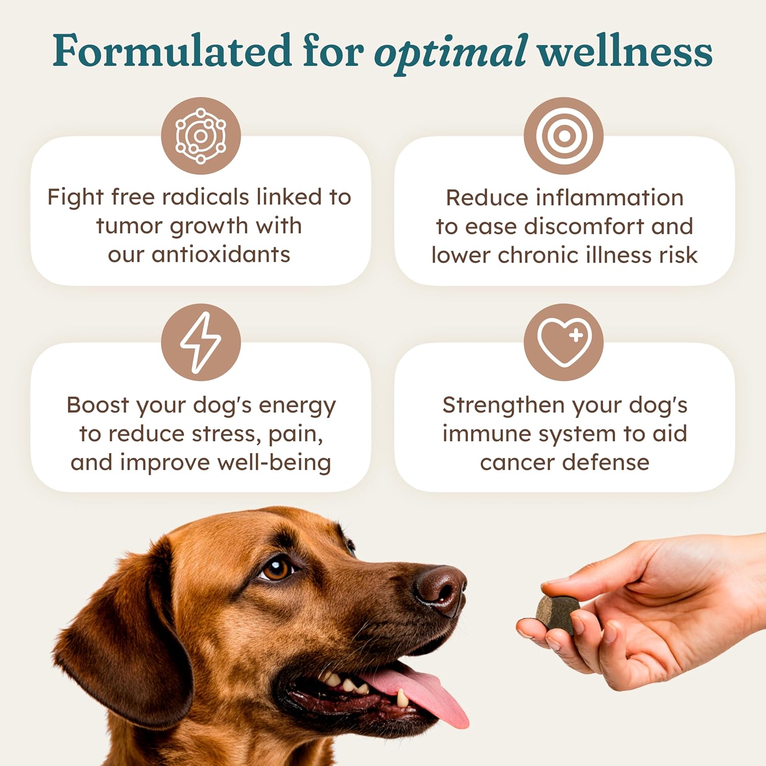 PetHeal Immune Plus Chews para Perros - Suplemento Inmune Natural - 30 Masticables Sabor Cerdo