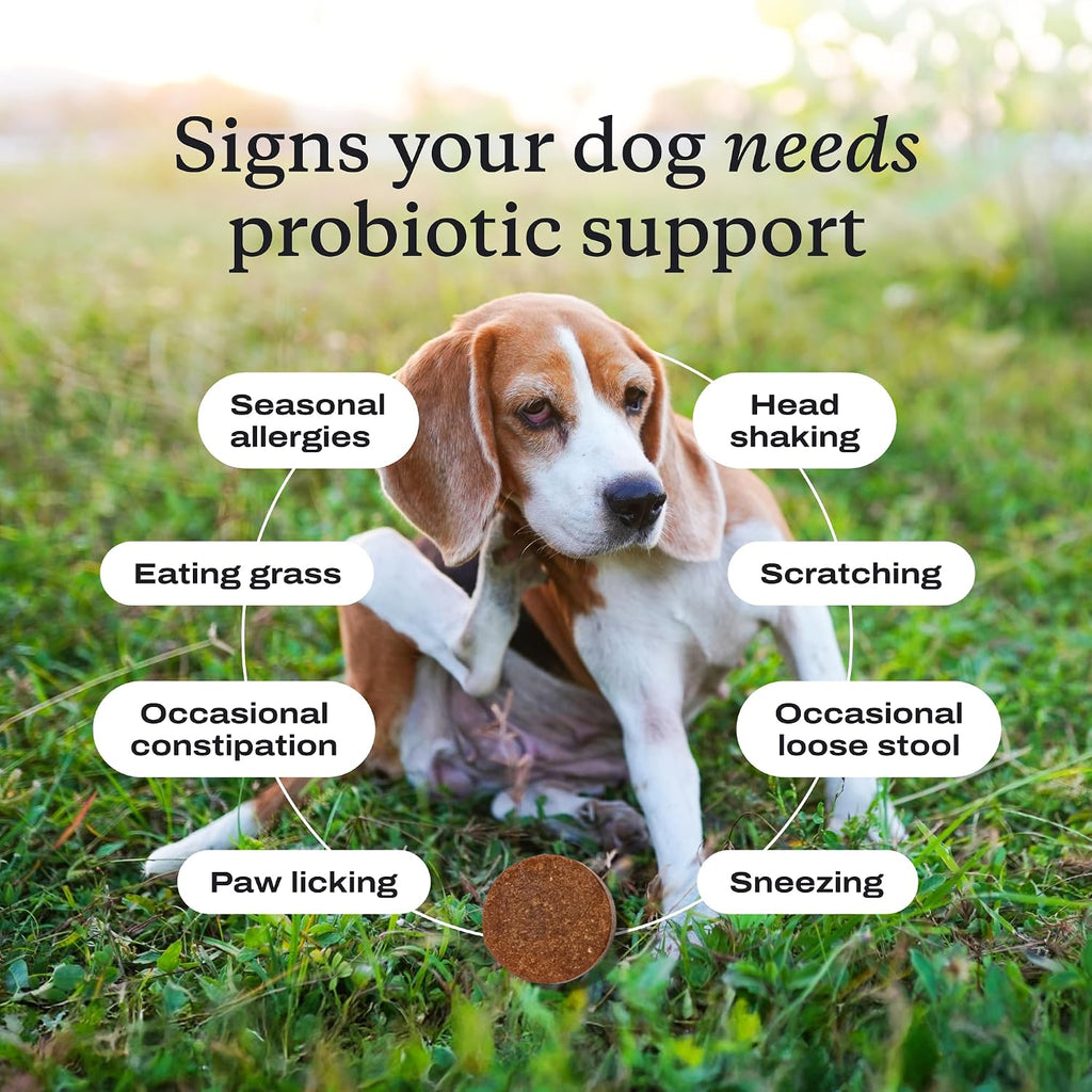 PetLab Co. Probióticos para Perros, Apoyo Digestivo y Alergias Estacionales - Sabor Salmón - 30 Masticables (Pack de 3)