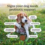 PetLab Co. Probióticos para Perros, Apoyo Digestivo y Alergias Estacionales - Sabor Salmón - 30 Masticables (Pack de 3)