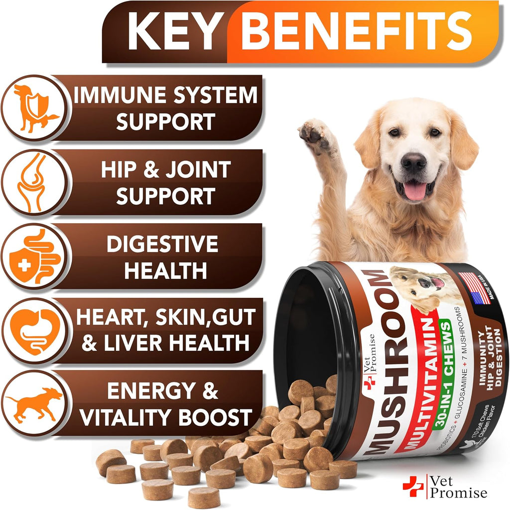 Vet Promise Suplemento de Hongos para Perros - 340 Masticables (2 Pack) - Multivitamínico con Turkey Tail, Lion's Mane, Reishi, Probióticos y Glucosamina