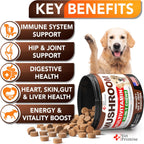 Vet Promise Suplemento de Hongos para Perros - 340 Masticables (2 Pack) - Multivitamínico con Turkey Tail, Lion's Mane, Reishi, Probióticos y Glucosamina