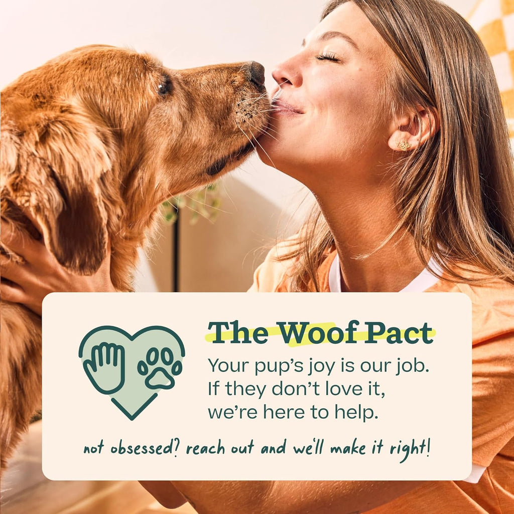 WOOF Pupsicle Refill Pops All-in-1 Health - Recambios Multivitamínicos para Perros - XL - 5 Unidades