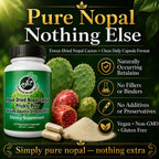 Natural Home Cures Cápsulas de Nopal Liofilizado, 500 mg, 120 Cápsulas Veganas (4 Envases)