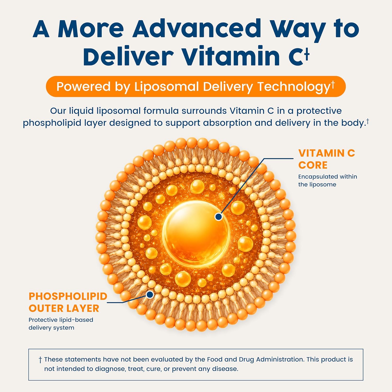 NativePath Vitamina C Liposomal 500 mg con Amla – Líquido Sabor Naranja, 30 Dosis
