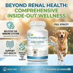 Nutrition Strength Kidney Support for Dogs - Apoyo Renal, Vejiga y Tracto Urinario, con Arándano Rojo Orgánico y Astrágalo, 120 Comprimidos Masticables