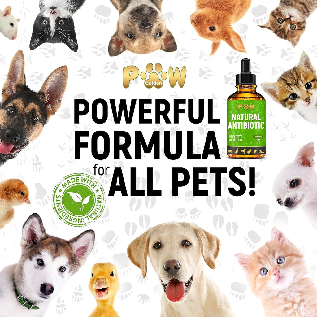 Golden Paw Antibióticos Naturales para Perros y Gatos – Gotas Orales – 2 oz (59 ml)