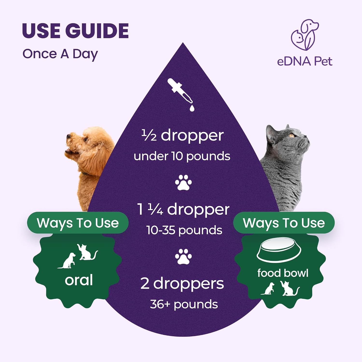 Gotas Herbales para Perros y Gatos con Arándano - 59 ml
