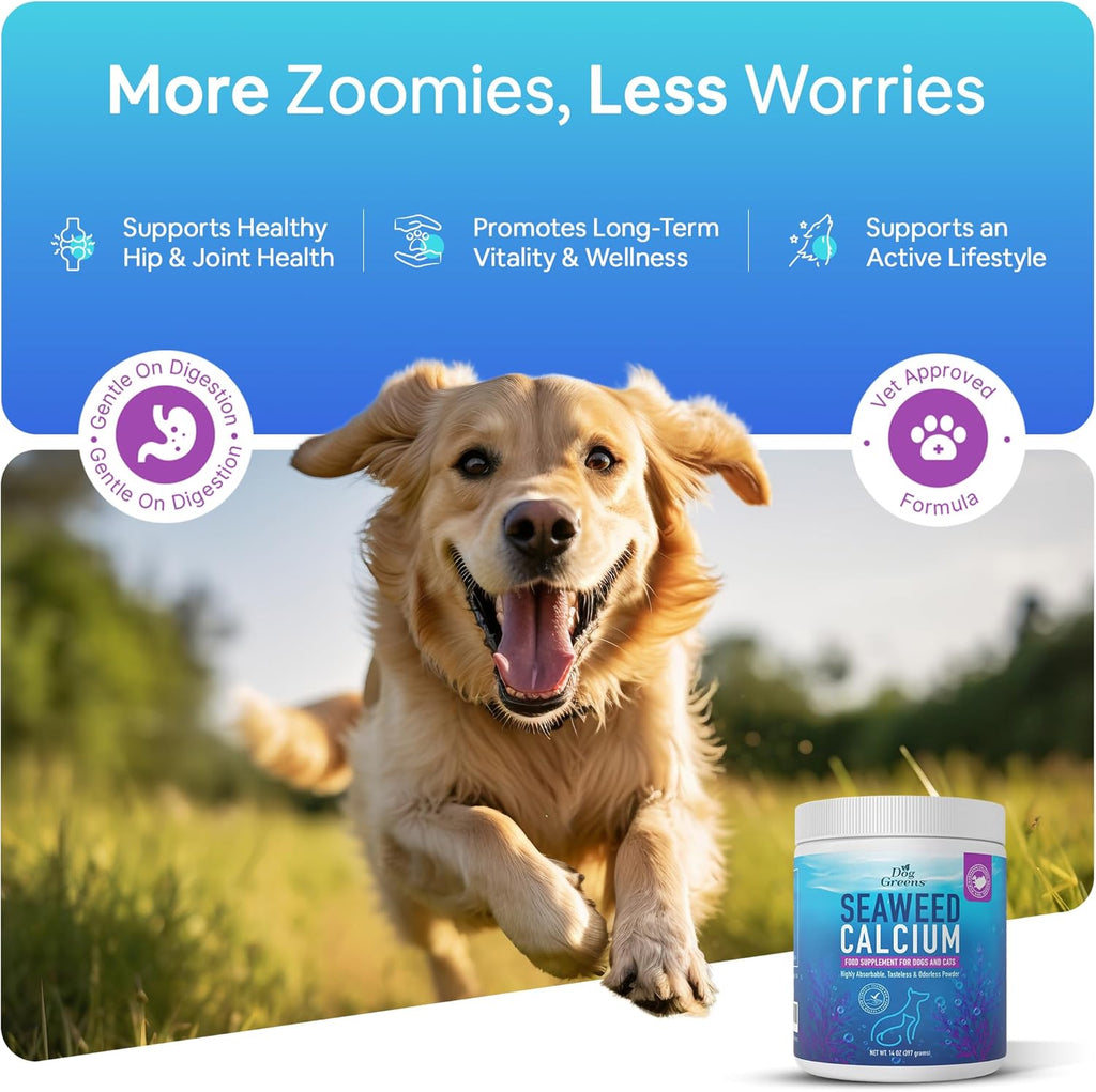 Calcio de Algas Marinas para Perros y Gatos - Suplemento con 72 Minerales Traza, 397 g (14 oz)