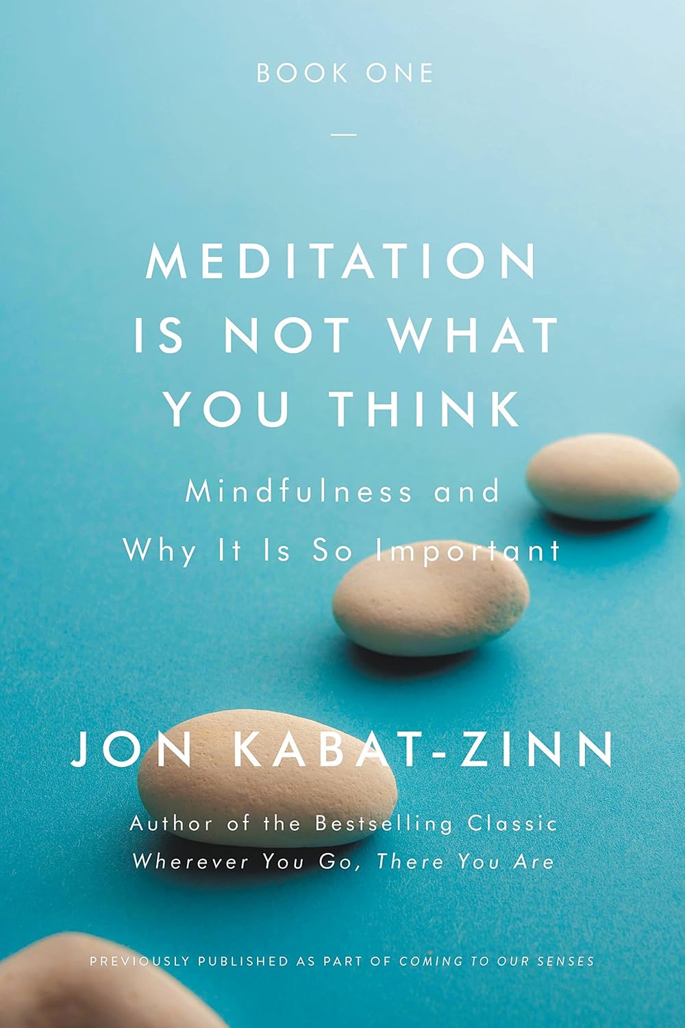 Meditar no es lo que piensas: Consciencia plena y por qué es tan importante - Jon Kabat-Zinn