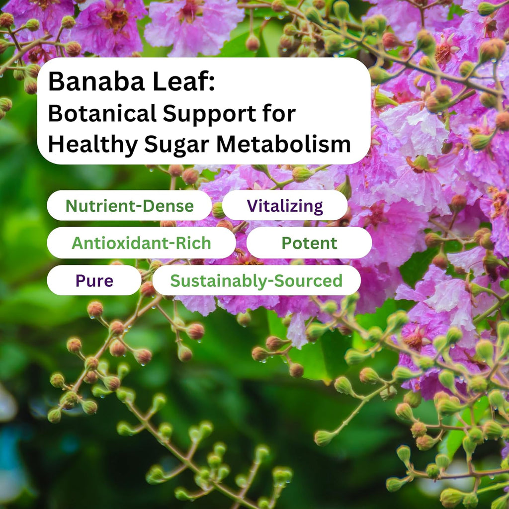 Paradise Herbs, Banaba Leaf, 12:1 Concentrated Extract, 250 mg, 180 Cápsulas