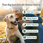 Other Half Everyday - Multivitamínico en polvo para perros