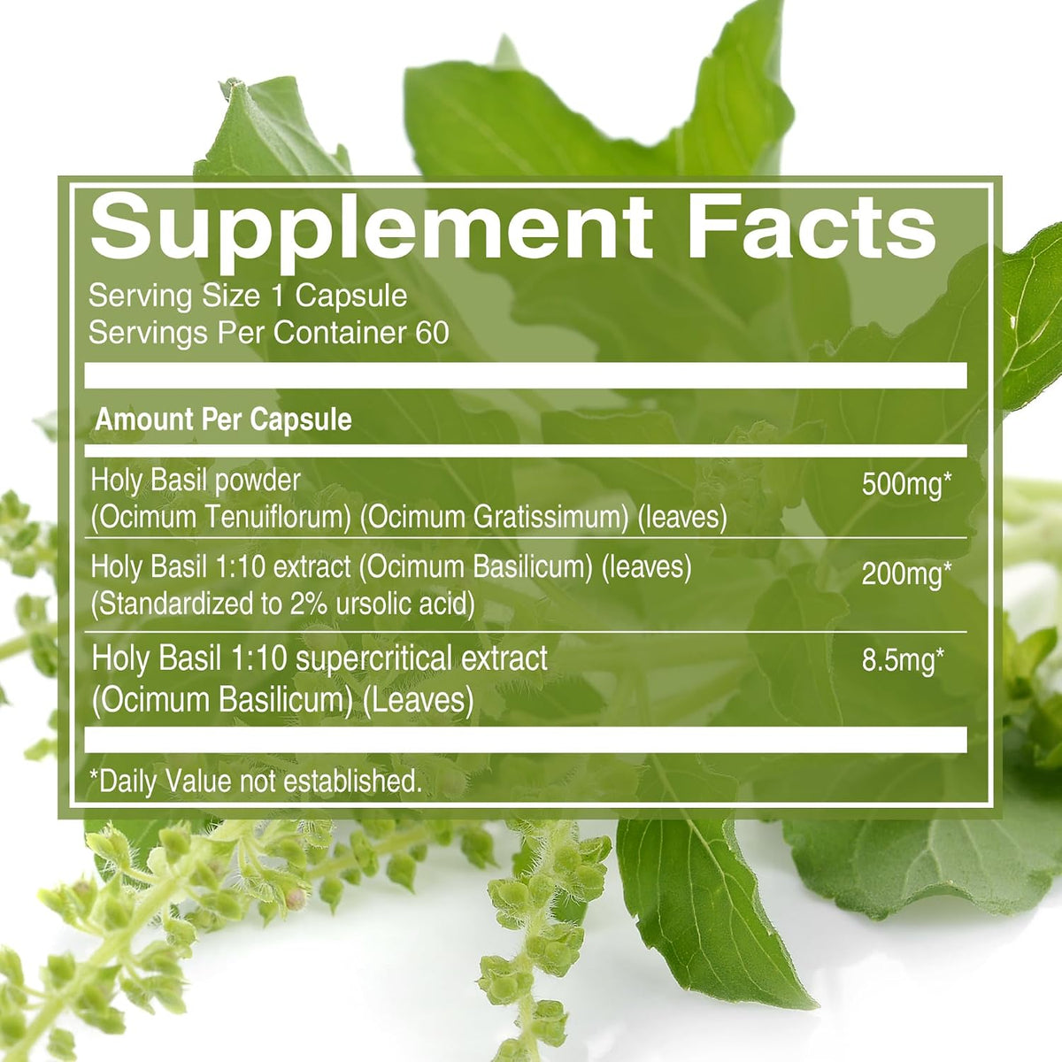 Pure Nutrition Tulsi Extract 708mg - 60 Cápsulas Veganas con Eugenoles y Ácido Ursólico – Image 3