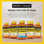 Mason Natural Folic Acid with B6 and B12 Vitamins, 90 Tablets