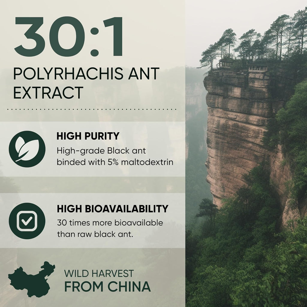 Jungle Powders Black Ant Extract Powder 30:1 – 141 g (5 oz), 94 raciones