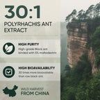 Jungle Powders Black Ant Extract Powder 30:1 – 141 g (5 oz), 94 raciones