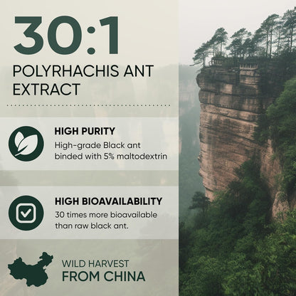 Jungle Powders Black Ant Extract Powder 30:1 – Sin gluten y sin OGM: Adecuado para dietas especiales. – Image 4