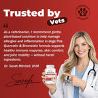 Tabletas de Quercetina y Bromelina para Perros — para Alergias Cutáneas, Dermatitis Atópica, Infecciones de Oído e Inflamación Articular — Apoyo Inmunológico y Antiinflamatorio — Formulado por Veterinarios