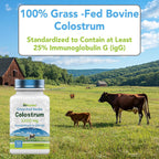 Calostro Bovino en Cápsulas 1.200 mg, 120 Cápsulas - Estandarizado al 25% IgG - No Transgénico