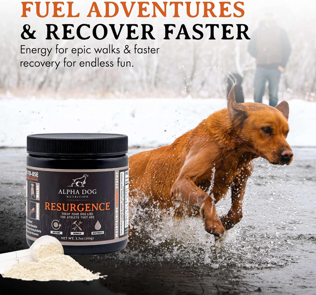 Alpha Dog Nutrition Electrolitos para Perros - Suplemento de Hidratación Formulado por Doctores con Sabor a Carne de Res para Caninos Activos - Polvo Versátil para la Recuperación de la Deshidratación y la Resistencia