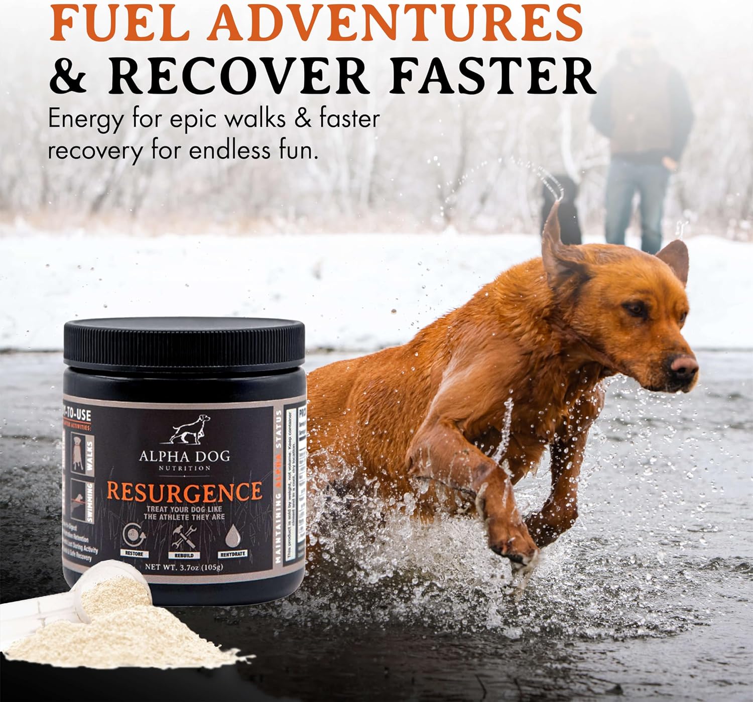 Alpha Dog Nutrition Electrolitos para Perros - Suplemento de Hidratación Formulado por Doctores con Sabor a Carne de Res para Caninos Activos - Polvo Versátil para la Recuperación de la Deshidratación y la Resistencia