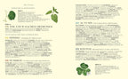 Raíces veneradas: enseñanzas ancestrales y sabiduría de las plantas silvestres, comestibles y medicinales