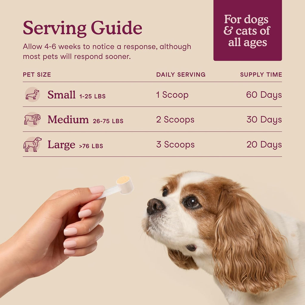 Fera Pets Bladder Support - Suplemento de Arándano para Perros y Gatos - 60 Dosis