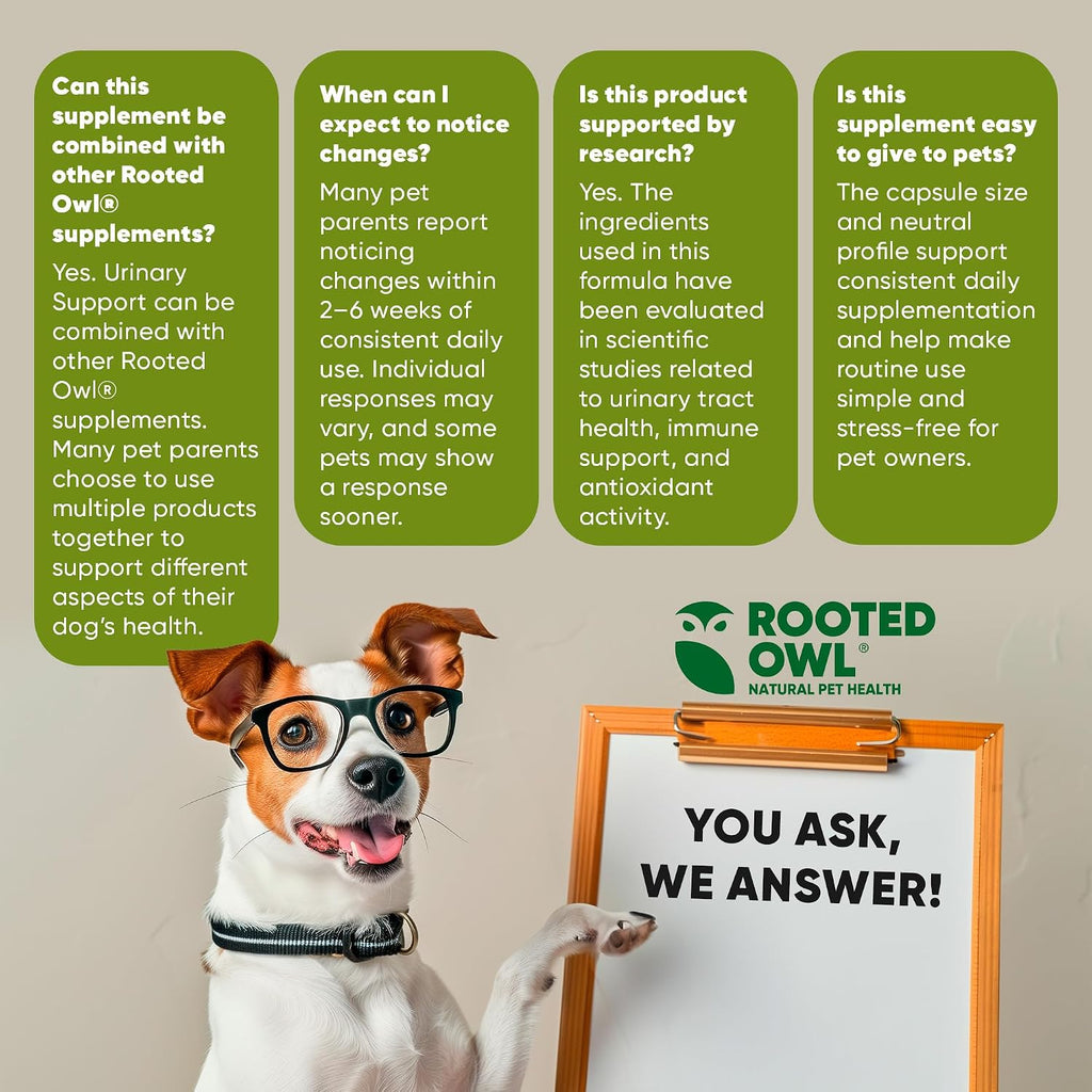 Rooted Owl Urinary Support para Perros - Suplemento con Arándano Rojo, Equinácea y Vitamina C - 60 Cápsulas