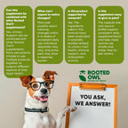 Rooted Owl Urinary Support para Perros - Suplemento con Arándano Rojo, Equinácea y Vitamina C - 60 Cápsulas