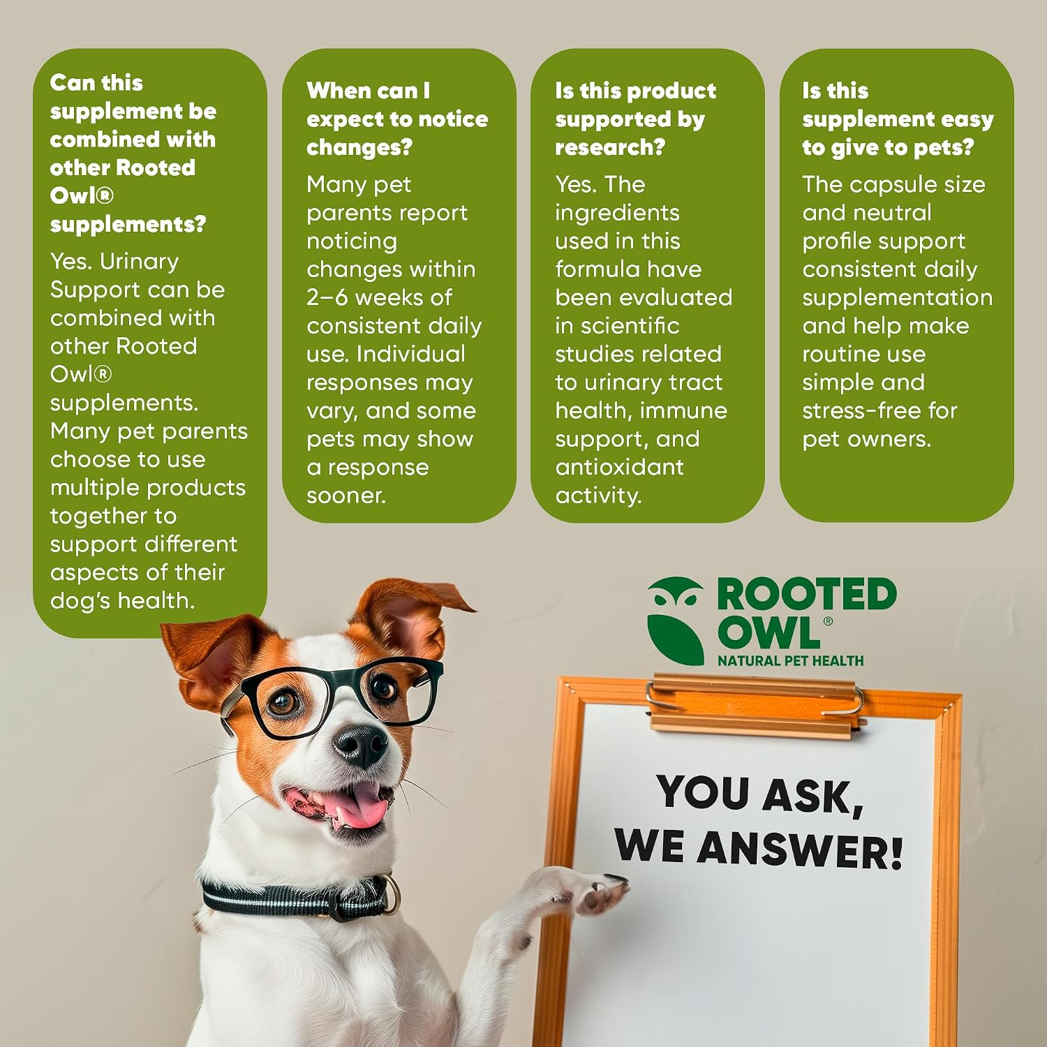 Rooted Owl Urinary Support para Perros - Suplemento con Arándano Rojo, Equinácea y Vitamina C - 60 Cápsulas